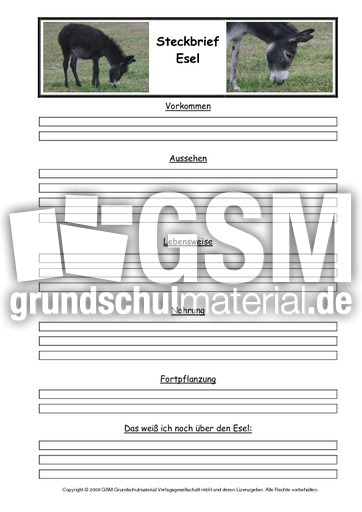 Esel-Steckbriefvorlage.pdf
